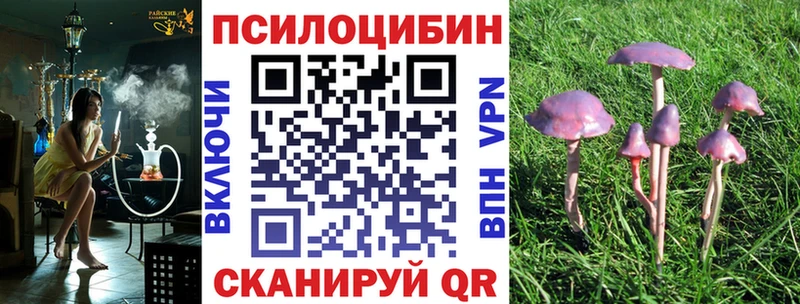 Галлюциногенные грибы мицелий  цены   Энгельс 